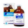 Bioarsenol Vitaminado 100 ml