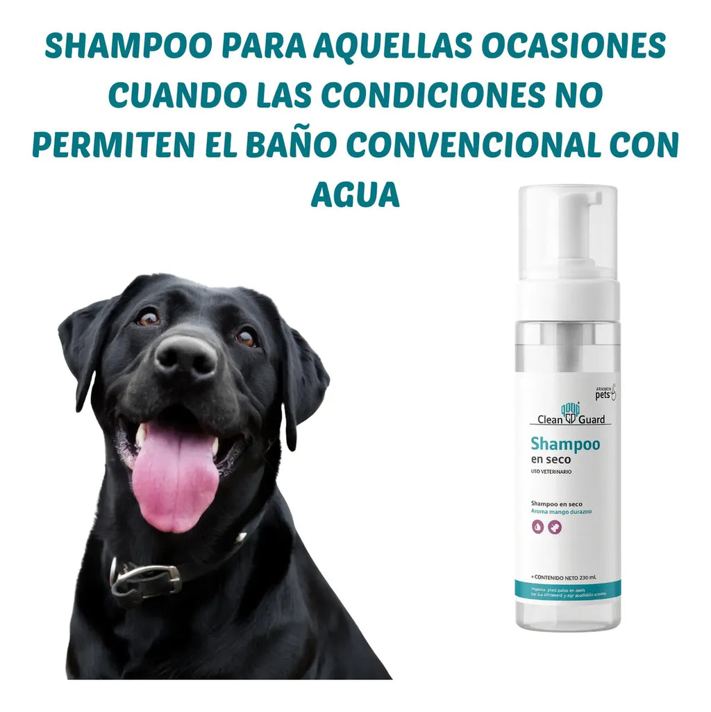 Shampoo en Seco 250 ml Caninos y Felinos