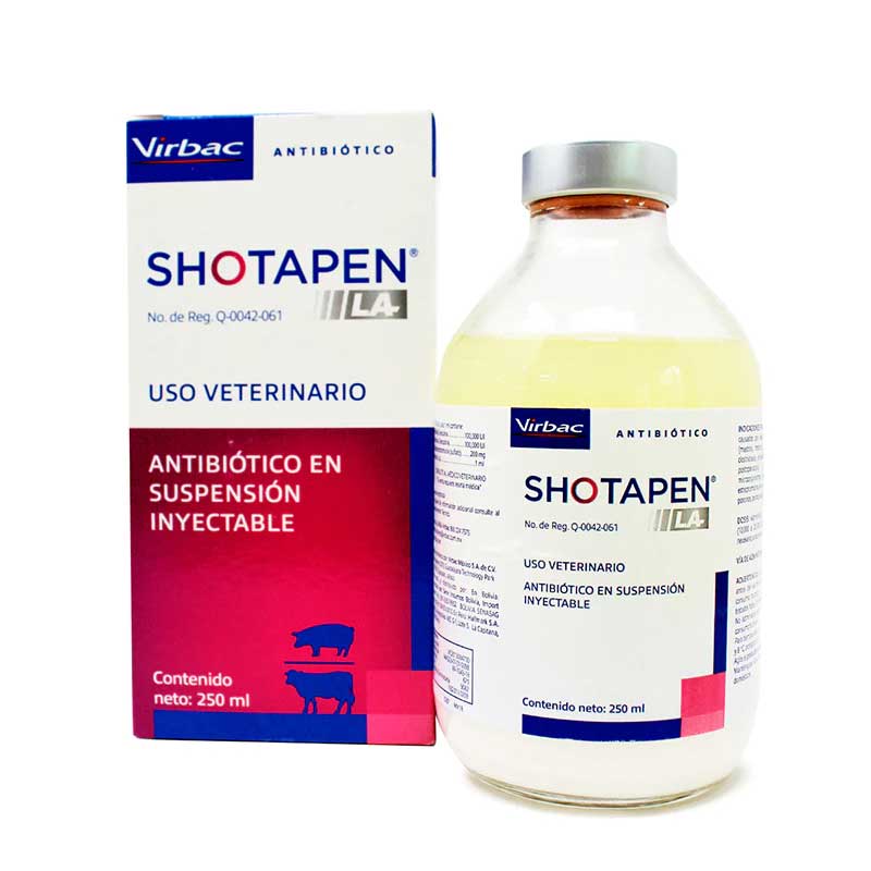 Shotapen LA 250ml Antibiotico